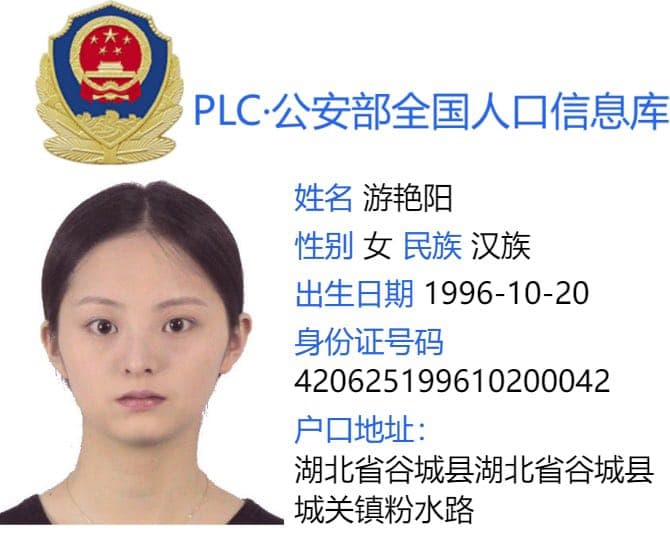案例图
